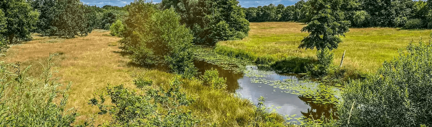 Sellingerbossen losloopgebieden Groningen